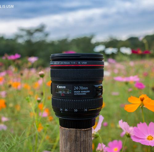 EF 24-70mm F/4L IS USM 과 함께한 제주도의 가을 - 캐논코리아 주식회사