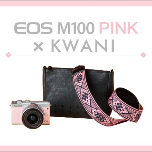 Canon EOS M100 Parent | Camera Wholesalers