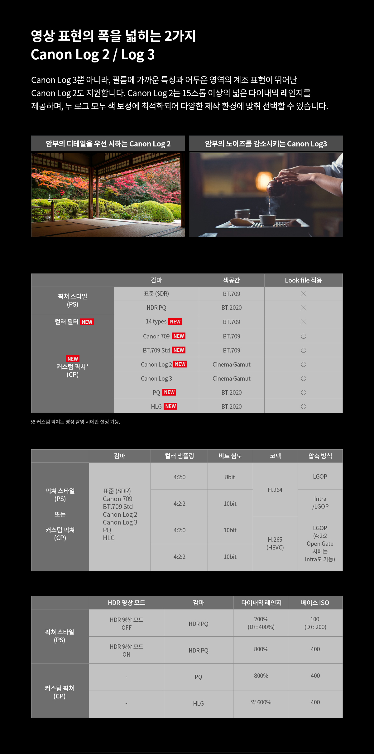 EOS R6 Mark III의 Canon Log 2 및 Log 3 지원과 영상 색공간 설정을 설명하는 이미지