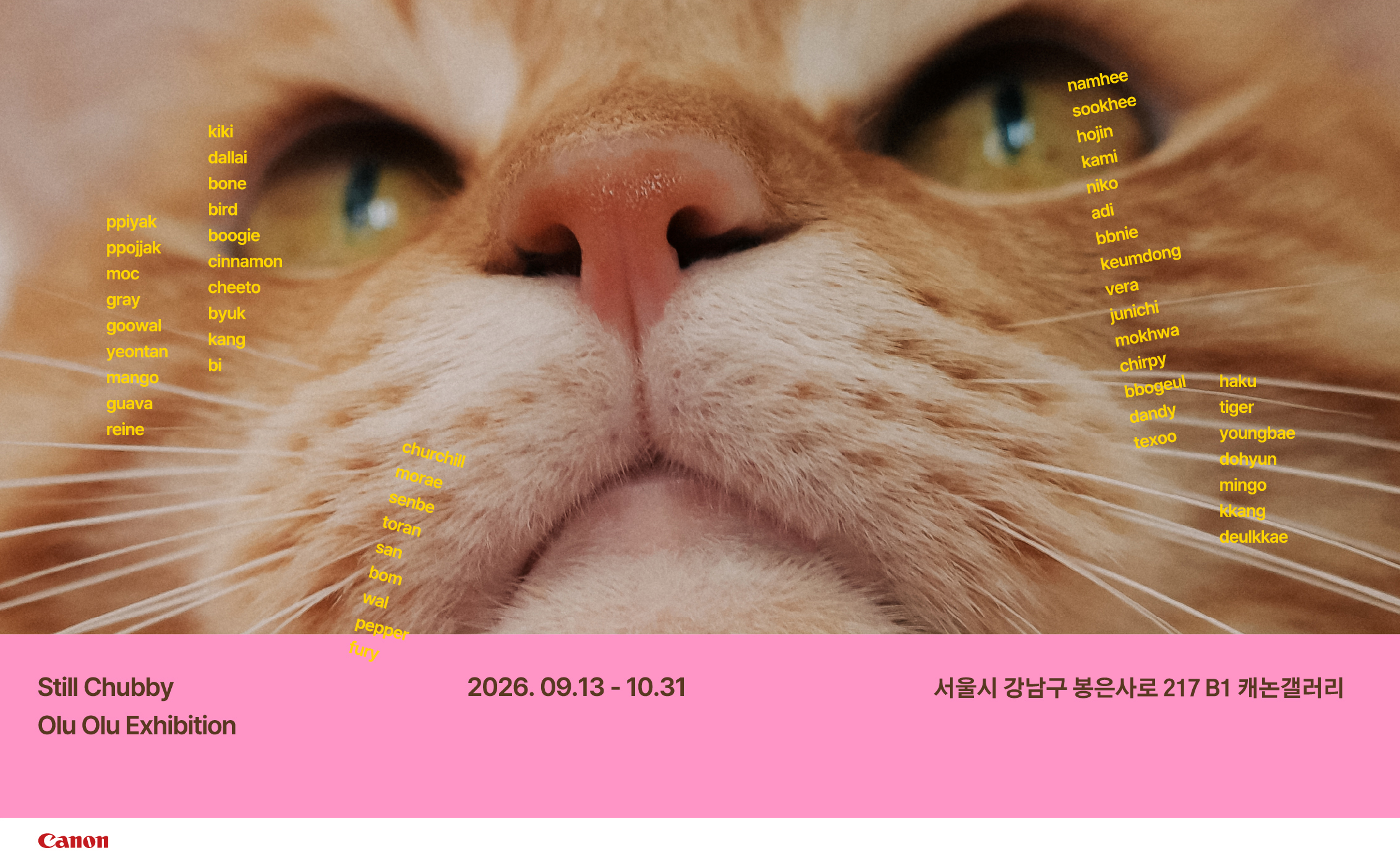 전시 명
