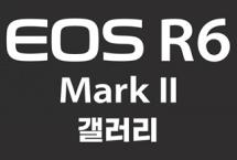 EOS R6 Mark II 갤러리