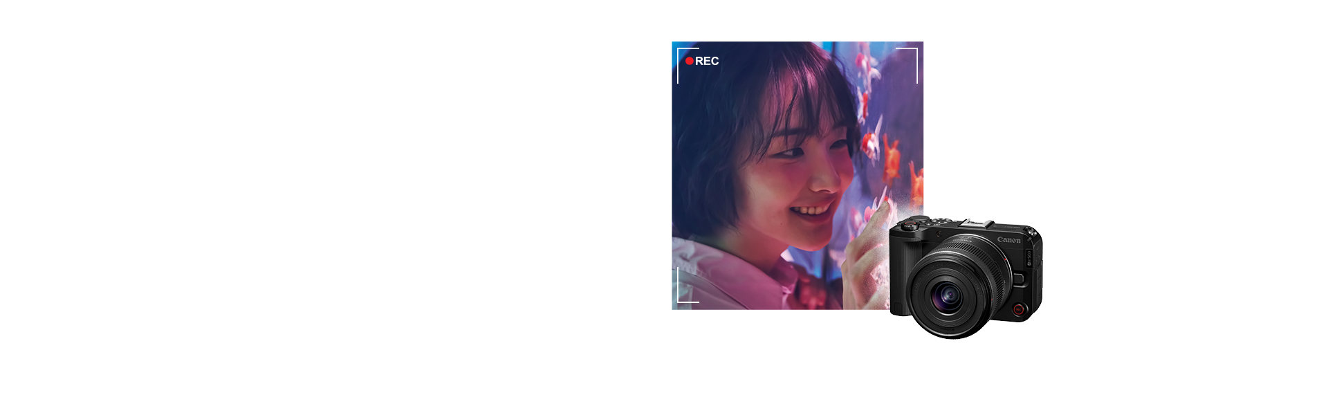 EOS R50 V
<br/>정품등록 프로모션