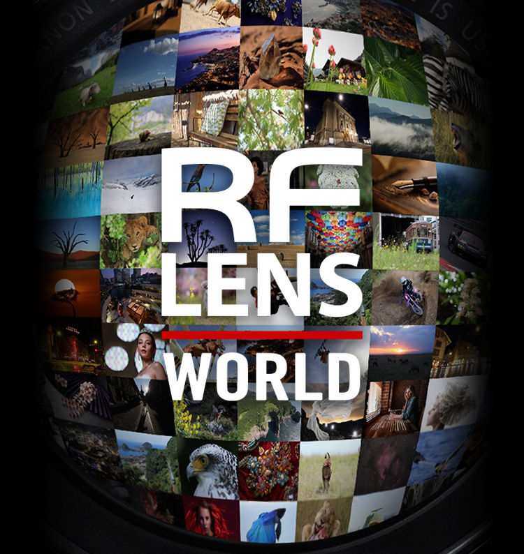 RF LENS WORLD