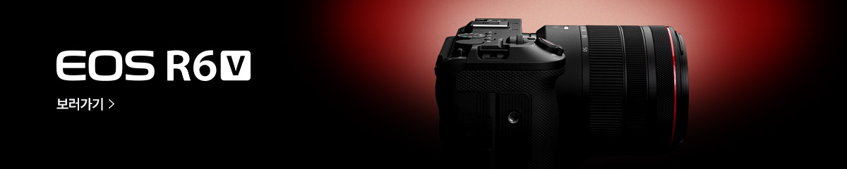 EOS R6 V