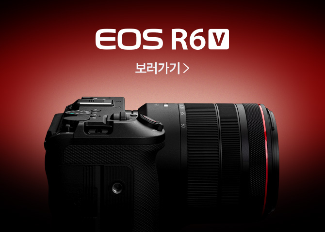 EOS R6 V