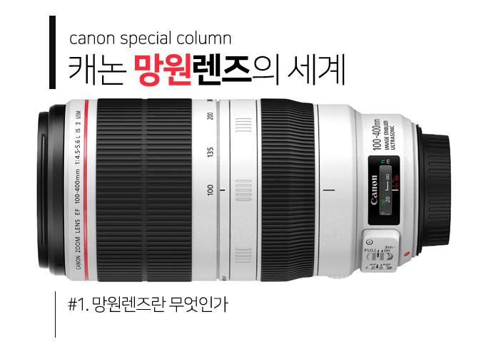 캐논 풀프레임 미러리스 카메라 EOS R8 캐논 RF 100-400mm F5.6-8 ISUSM 망원 렌즈 조합 사용기.