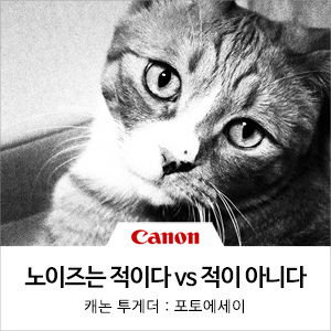 하단