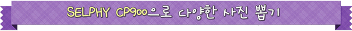 다양한 사진 뽑기