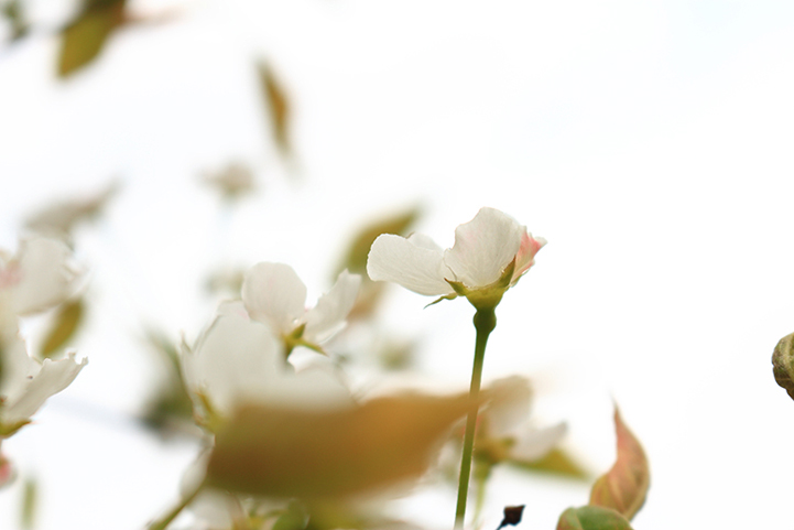 038