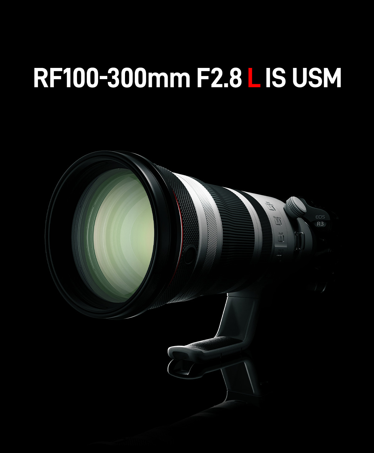 RF100-300mmF2.8L_IS_USM