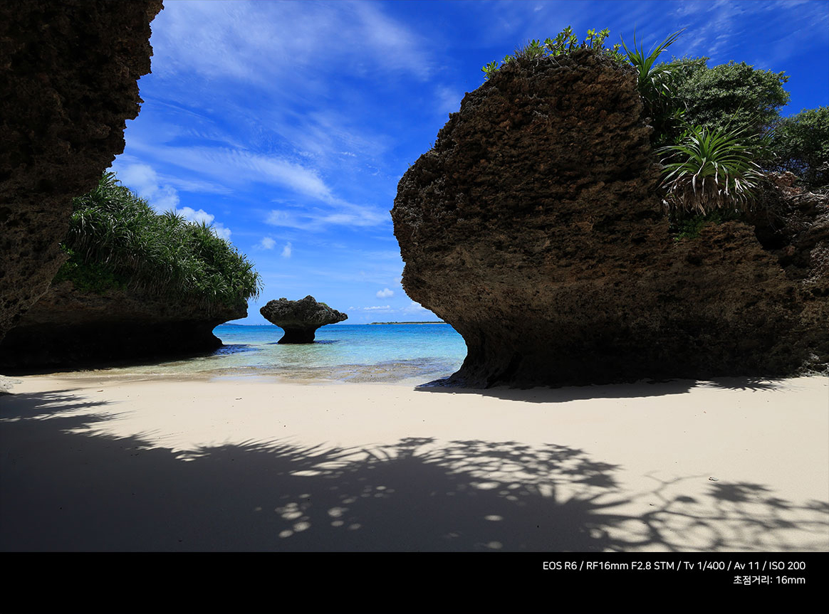 EOS R6 / RF16mm F2.8 STM / Tv 1/400 / Av 11 / ISO 200 초점거리: 16mm