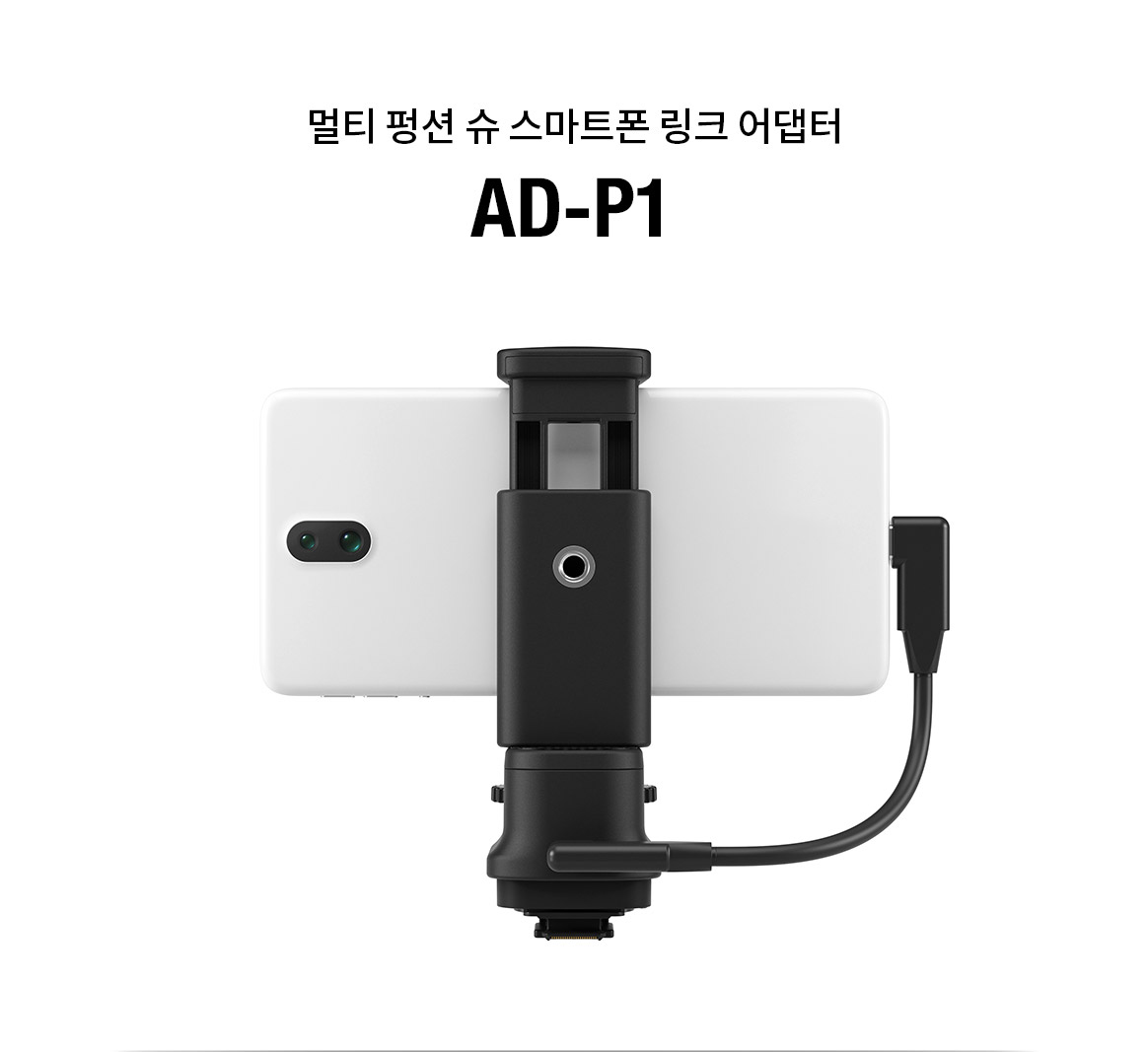 AD-P1