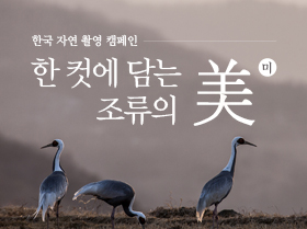 [온라인 세미나] 한국 자연 촬영 캠페인 - 한 컷에 담는 조류의 미