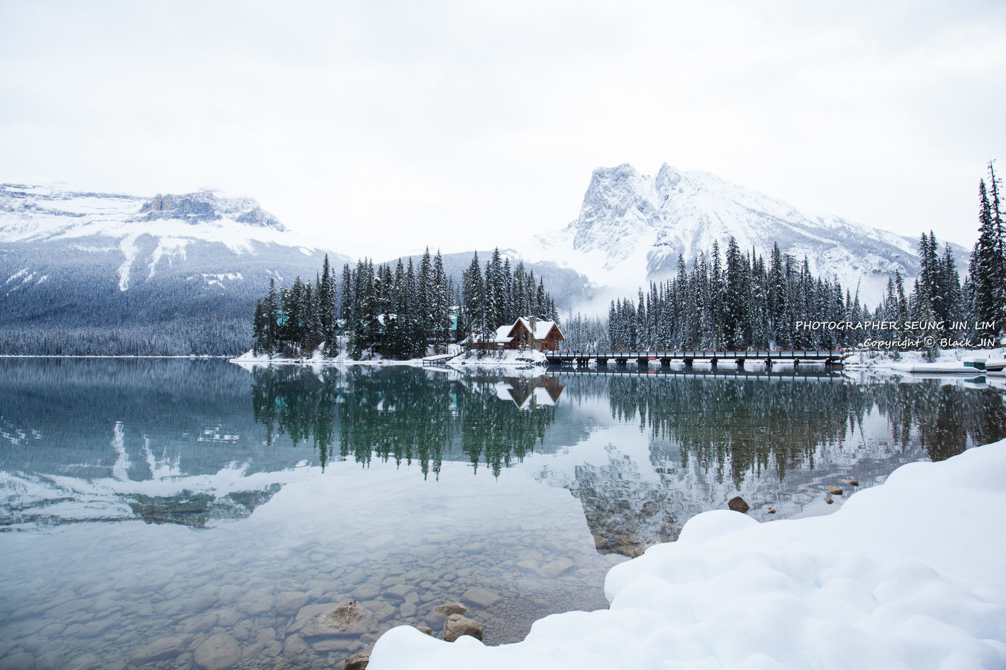 겨울! 그대로 멈춰라 ! 