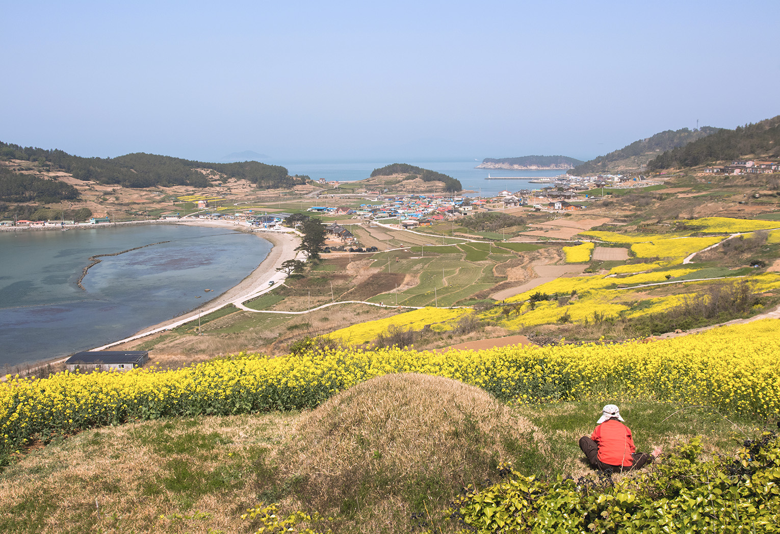 물수리