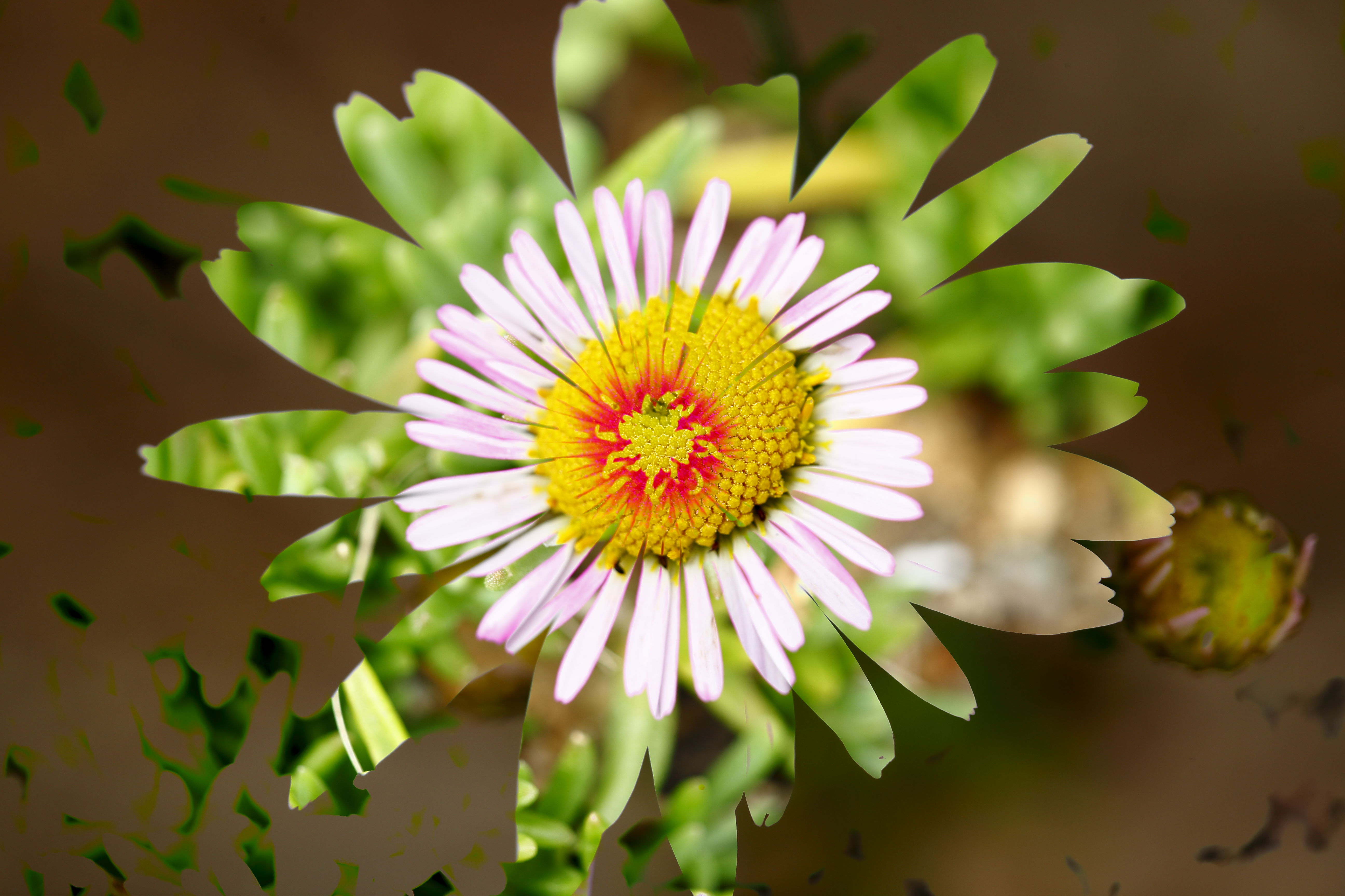 꽃을 담고담으니