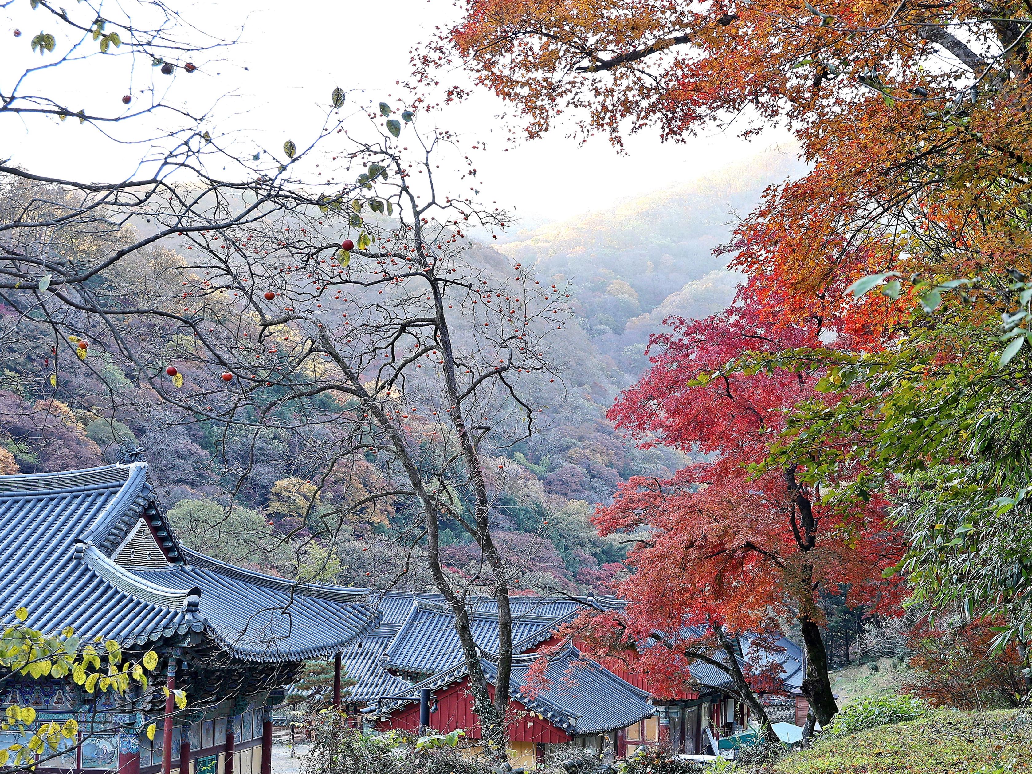 산사의 가을 아침