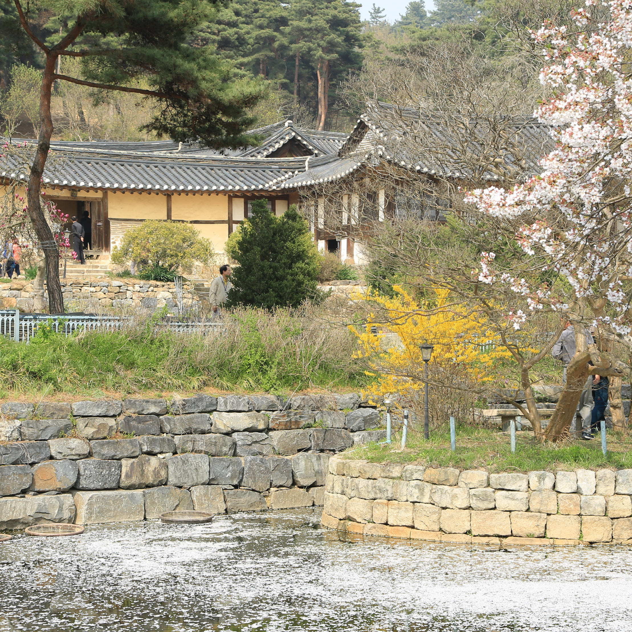 사진