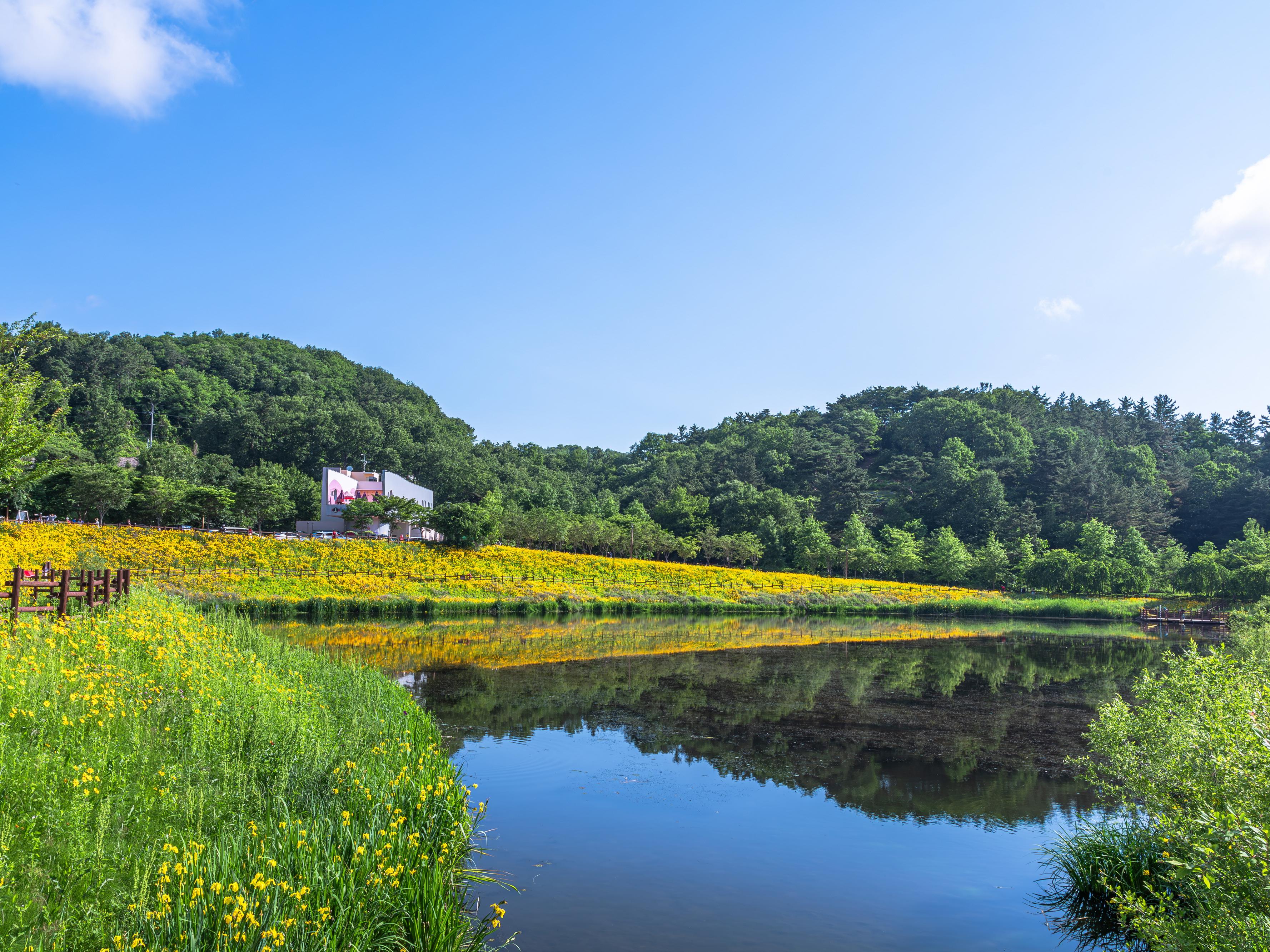 함안 - 악양 생태공원(2)