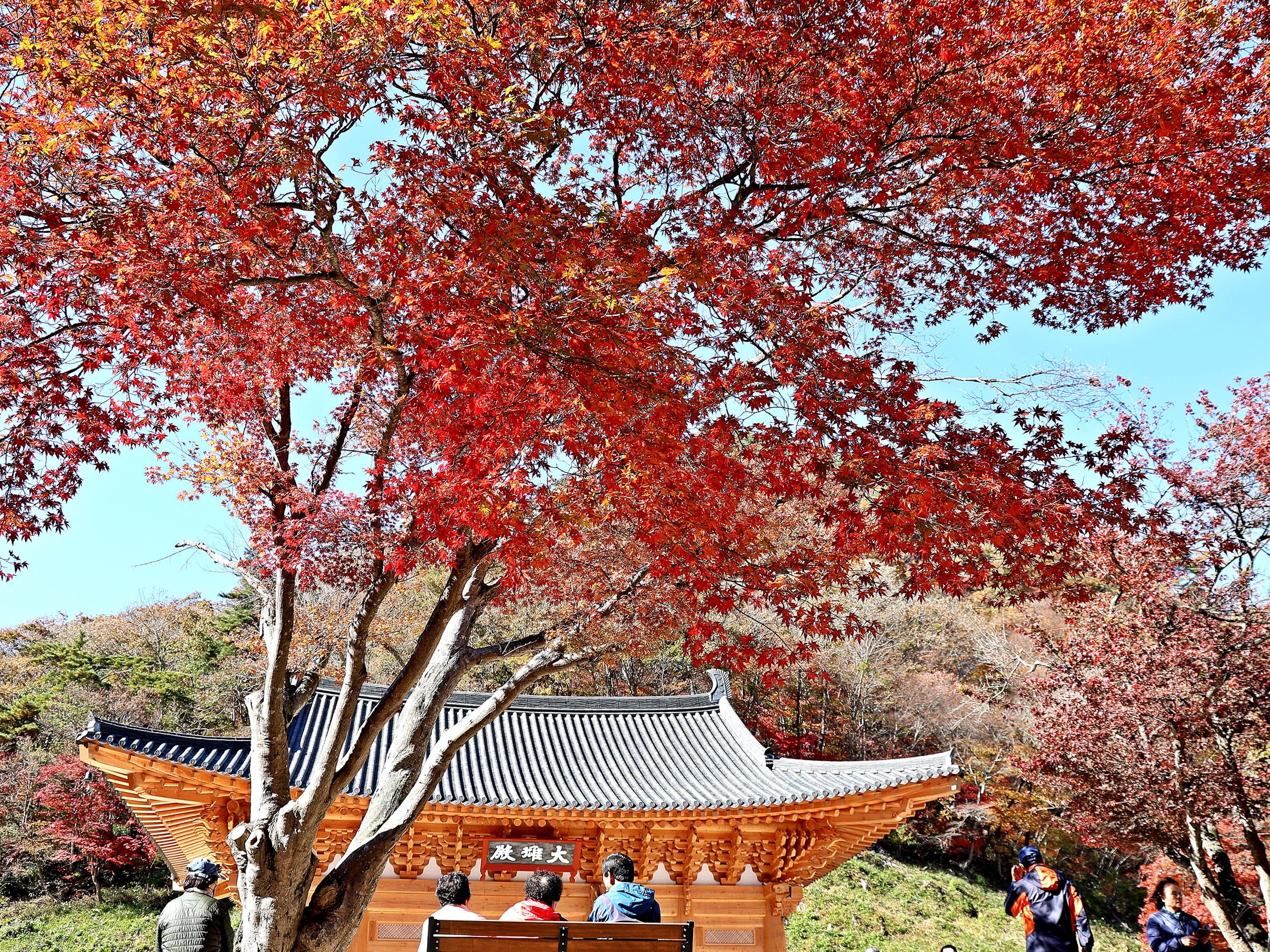 사찰과 단풍