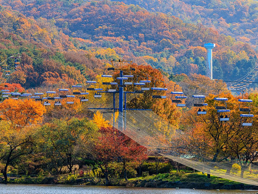 가을감상나들이