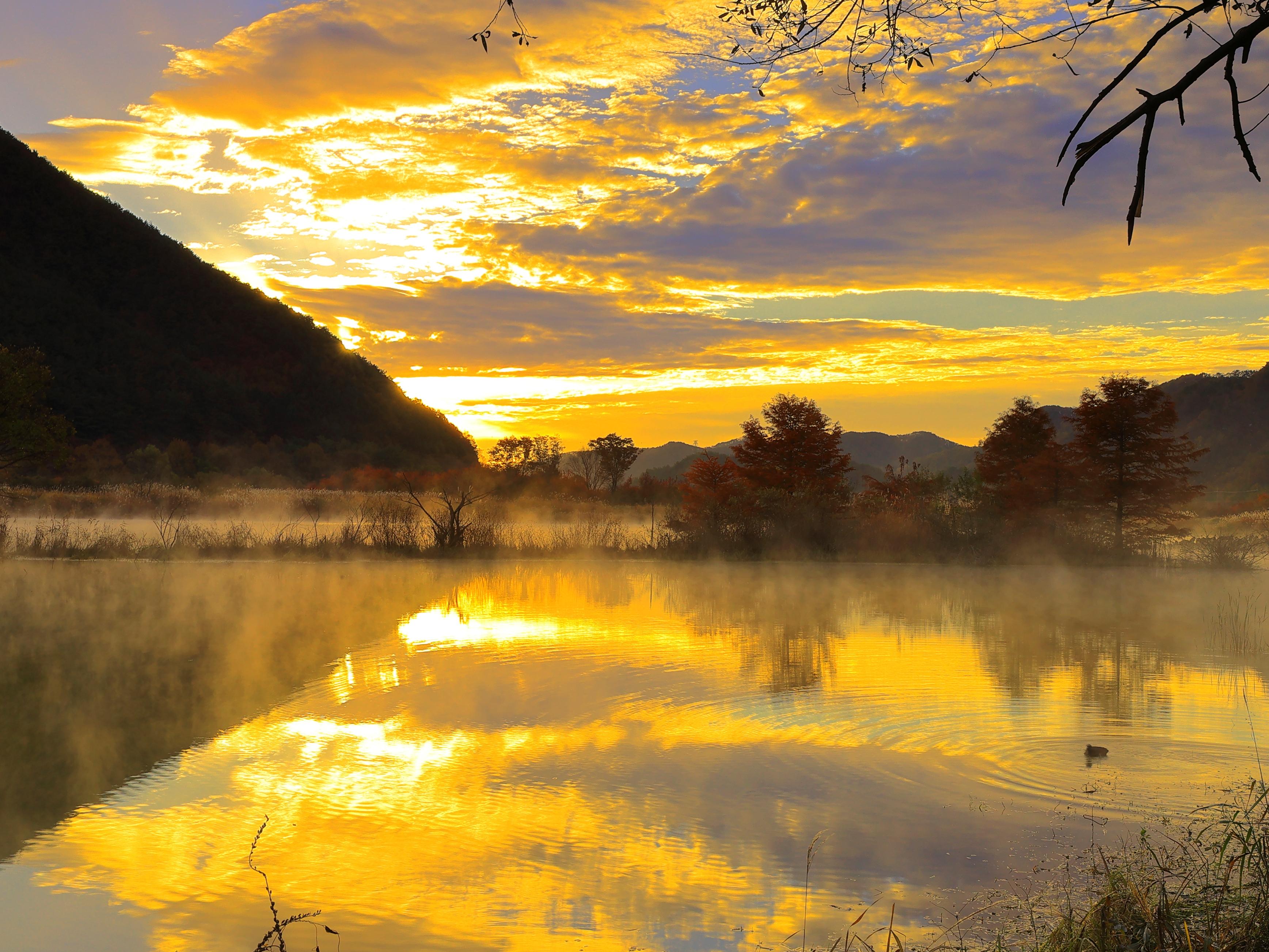 주천생태공원 새벽