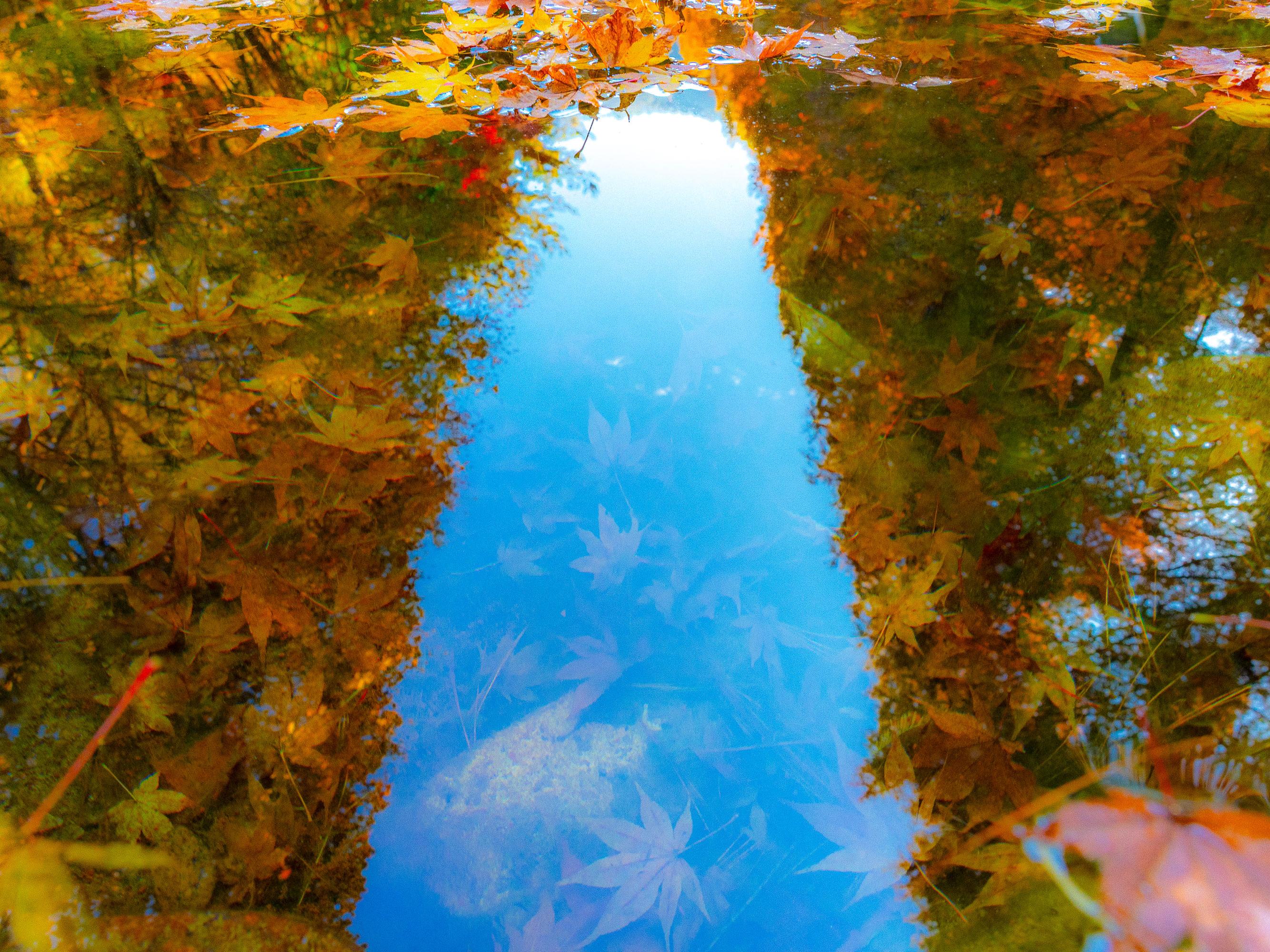 내려다 본 하늘