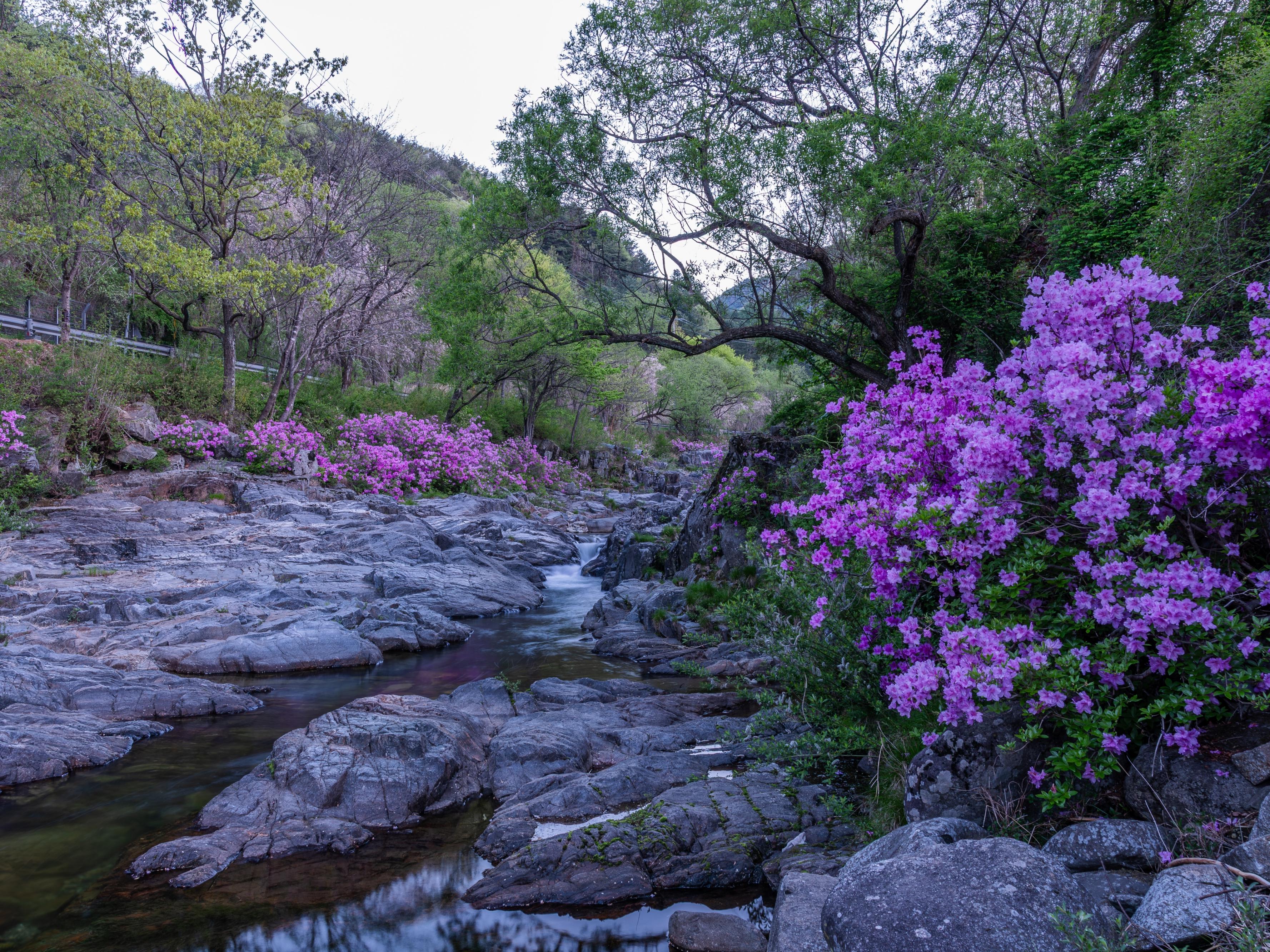거창 - 월성계곡(2)