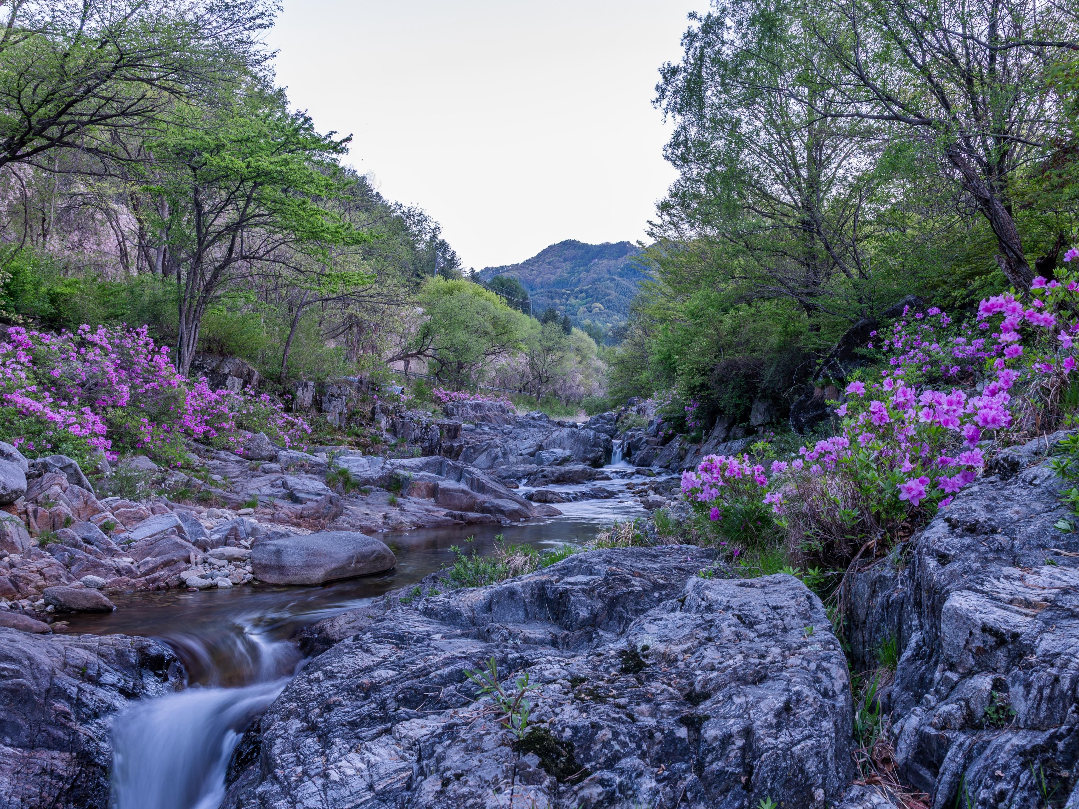 거창 - 월성계곡(1)