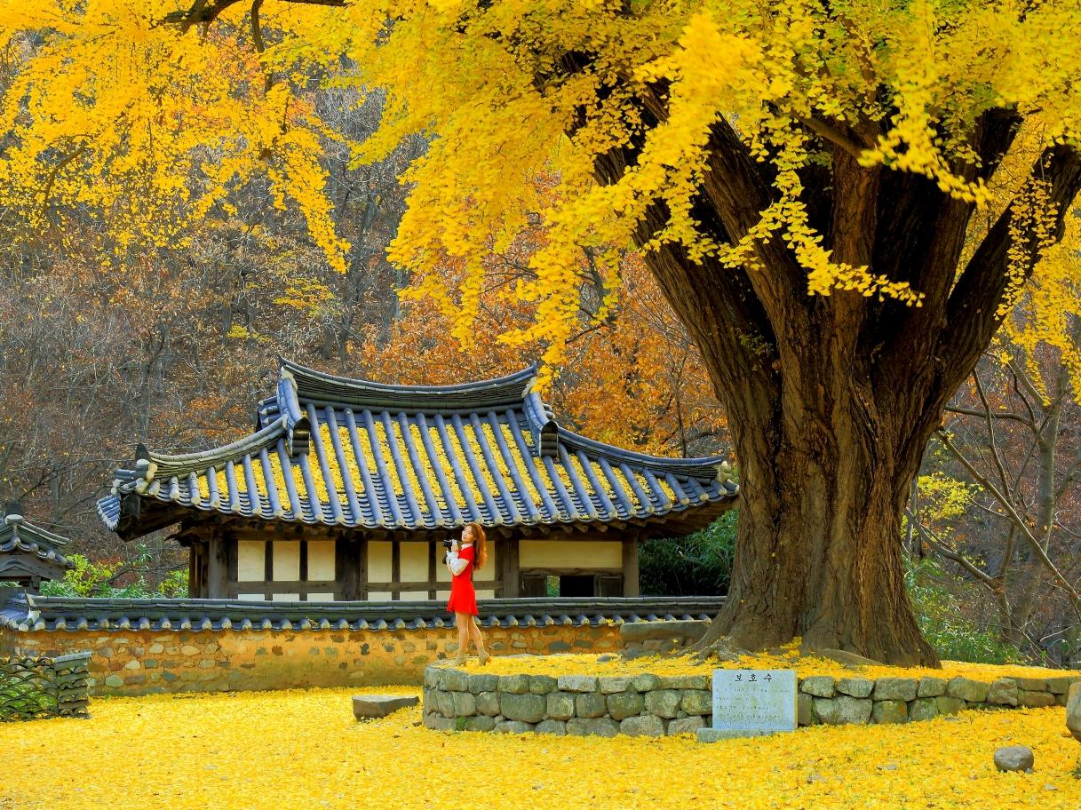 운곡서원
