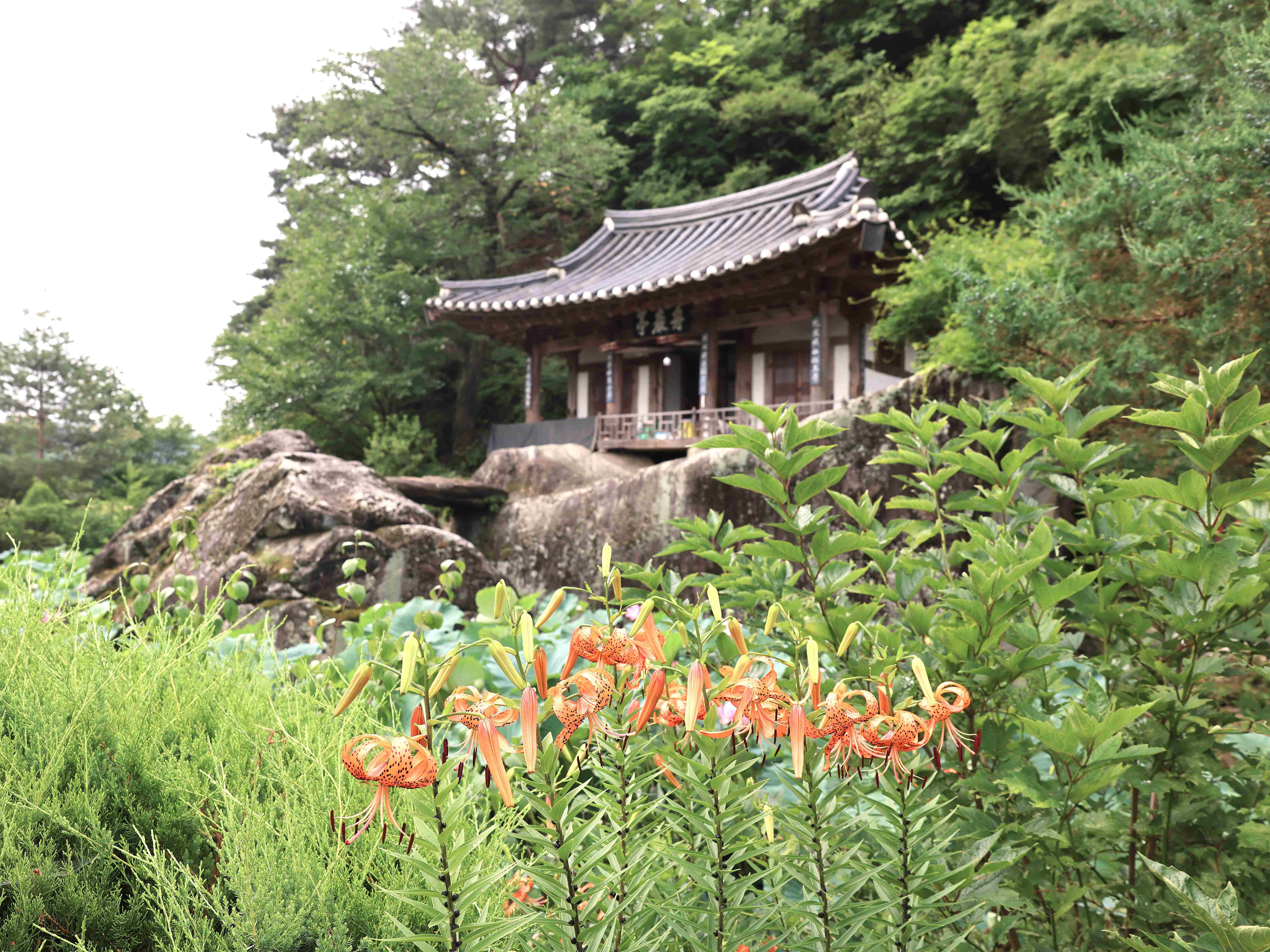 주암정