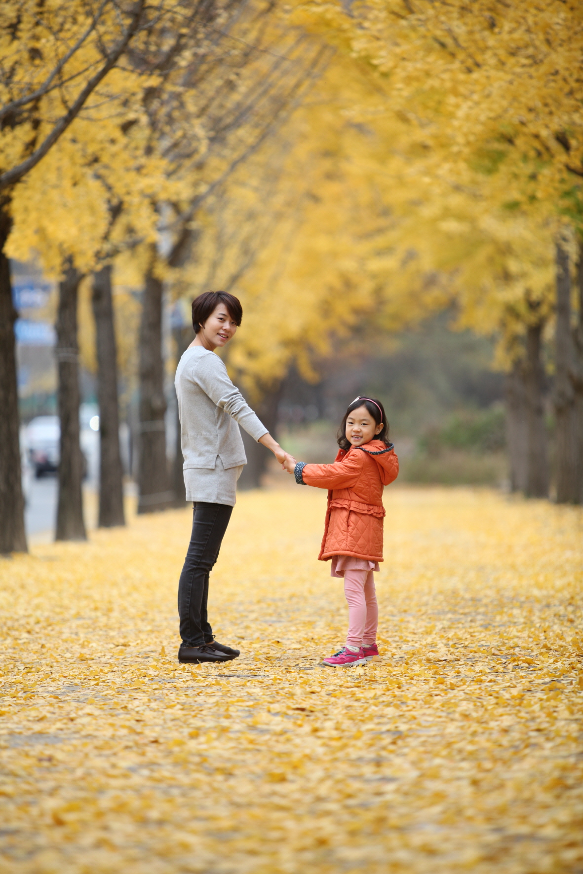 사진