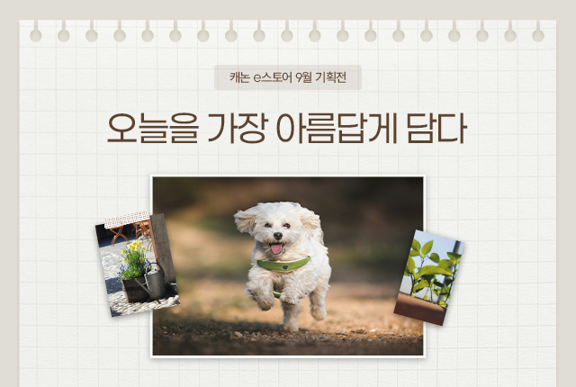 캐논 e스토어 9월 기획전