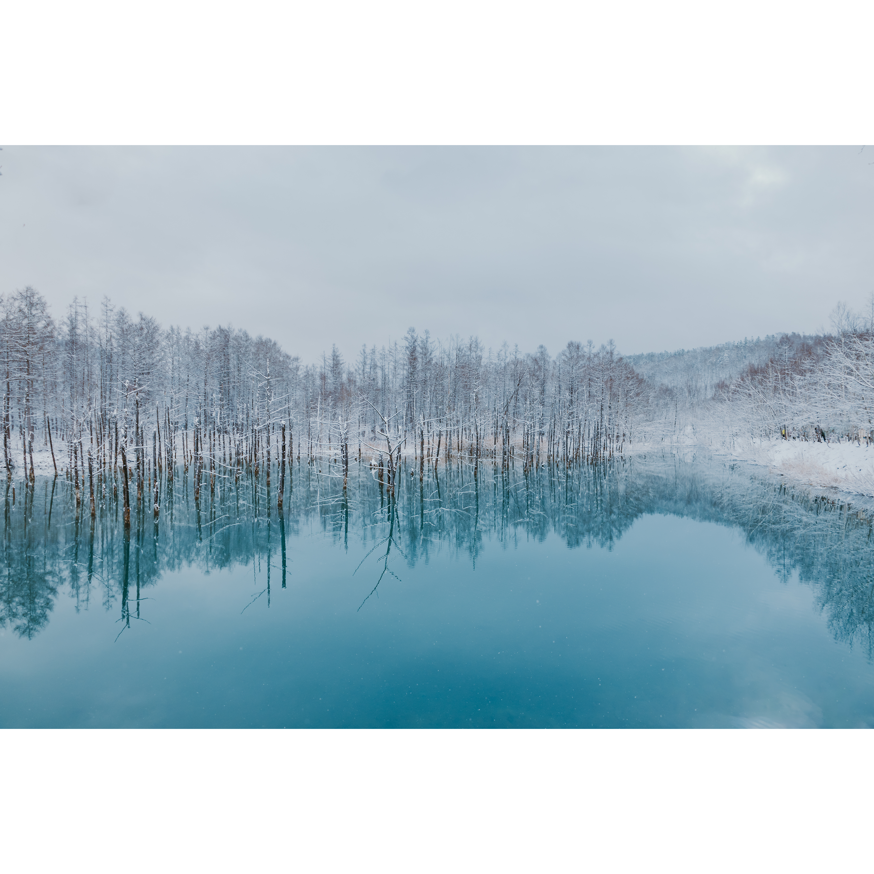 No.98_청의 호수 : 겨울의 우아함