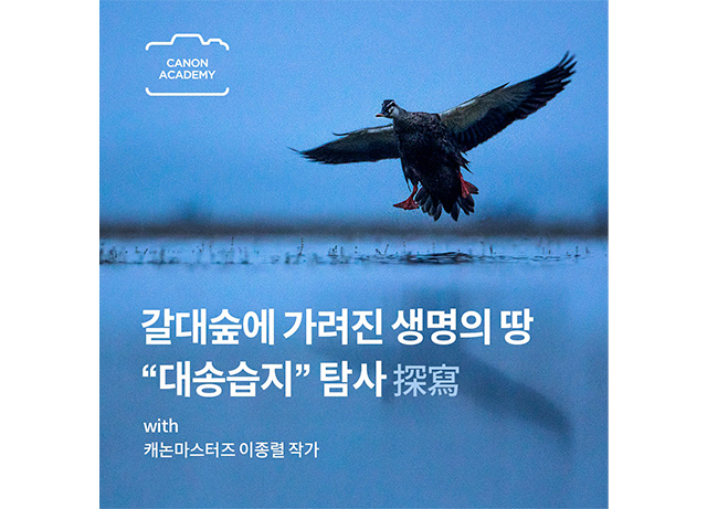 캐논코리아, 이종렬 작가와 함께하는 '대송습지 조류 생태 촬영' 아카데미 클래스 오픈