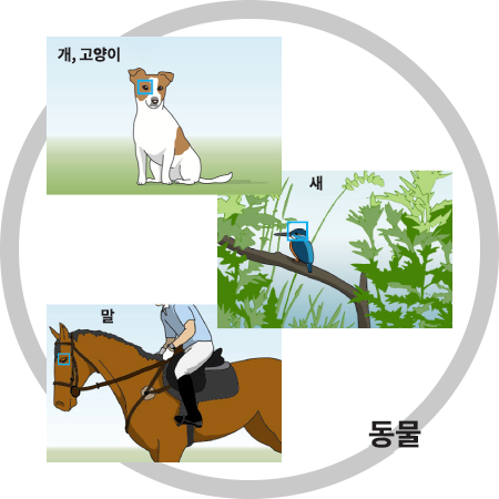 동물