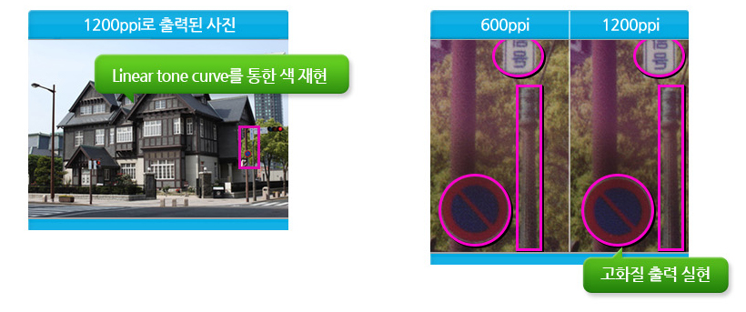 1200ppi로 출력된 사진 확대 예시 이미지 입니다.