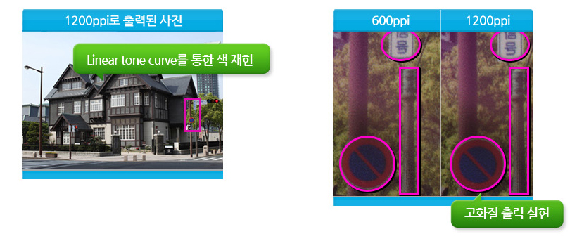 1200ppi로 출력된 사진 확대 예시 이미지 입니다.
