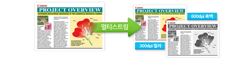 멀티스트림에 대한 이미지입니다