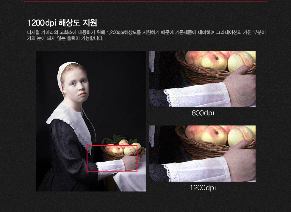 1200dpi 해상도 지원디지털 카메라의 고화소에 대응하기 위해 1200ppi 해상도를 지원하기 때문에 기존제품에 대비하여 그라데이션의 거친 부분이 거의 눈에 띄지 않는 출력이 가능합니다.