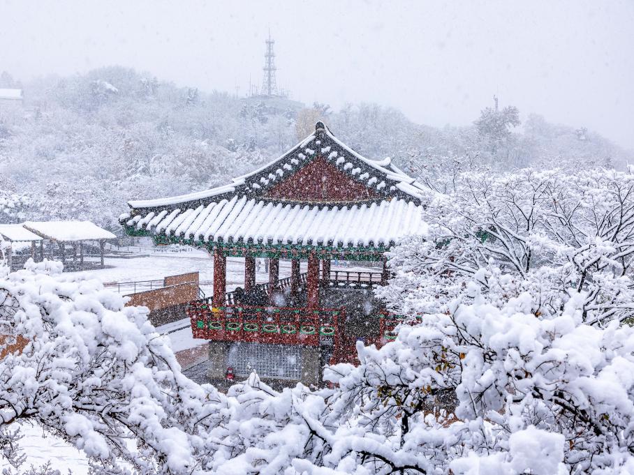 주간 베스트1